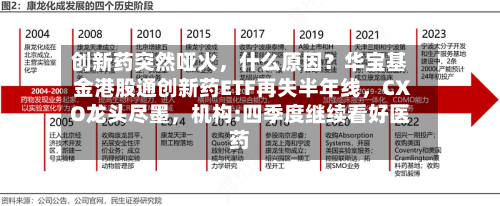 创新药突然哑火，什么原因？华宝基金港股通创新药ETF再失半年线，CXO龙头尽墨	，机构:四季度继续看好医药-第2张图片
