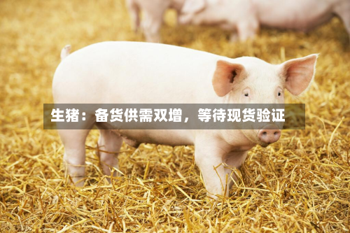 生猪：备货供需双增	，等待现货验证-第1张图片