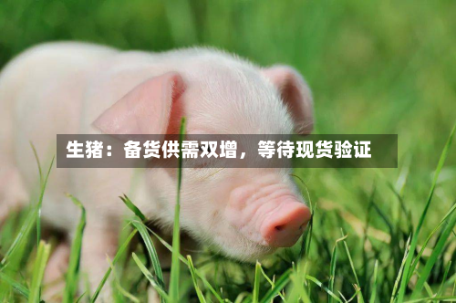 生猪：备货供需双增，等待现货验证-第2张图片