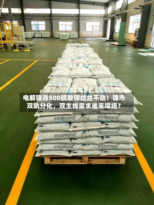 电解镍涨500硫酸镍纹丝不动！镍市双轨分化	，双主线需求谁来撑场？-第1张图片