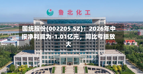 国统股份(002205.SZ):2026年中报净利润为-1.01亿元,同比亏损放大