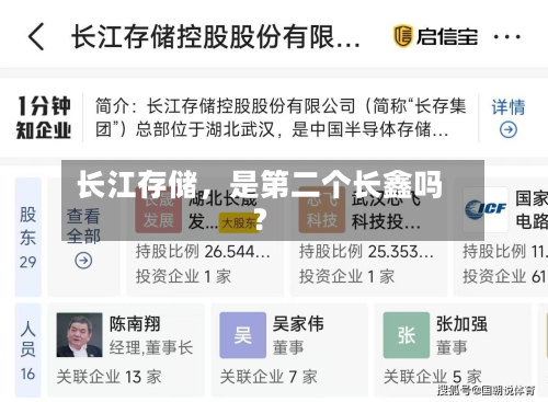长江存储	，是第二个长鑫吗？-第2张图片