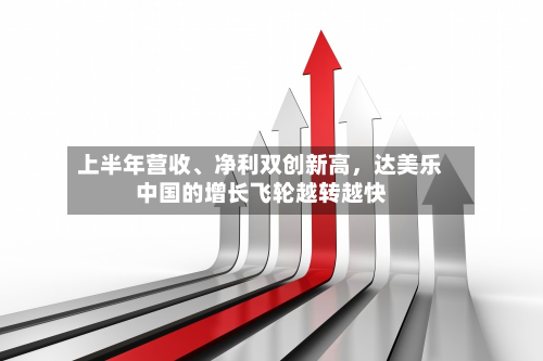 上半年营收	、净利双创新高	，达美乐中国的增长飞轮越转越快-第3张图片