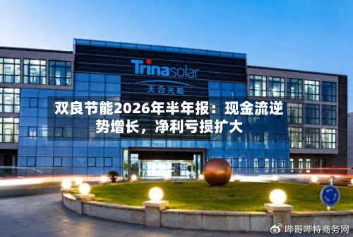 双良节能2026年半年报：现金流逆势增长	，净利亏损扩大-第3张图片