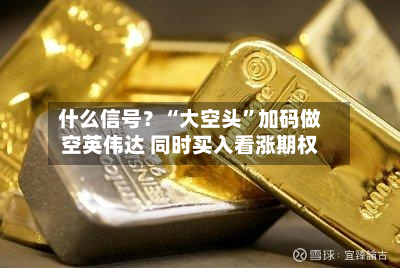 什么信号？“大空头”加码做空英伟达 同时买入看涨期权-第2张图片