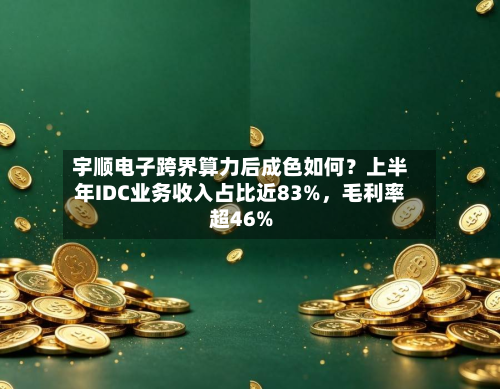宇顺电子跨界算力后成色如何？上半年IDC业务收入占比近83%	，毛利率超46%-第3张图片