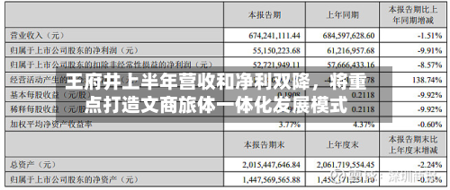 王府井上半年营收和净利双降，将重点打造文商旅体一体化发展模式-第2张图片