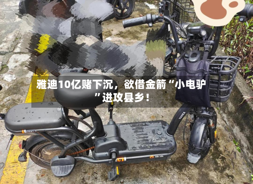 雅迪10亿赌下沉	，欲借金箭“小电驴	”进攻县乡！-第2张图片