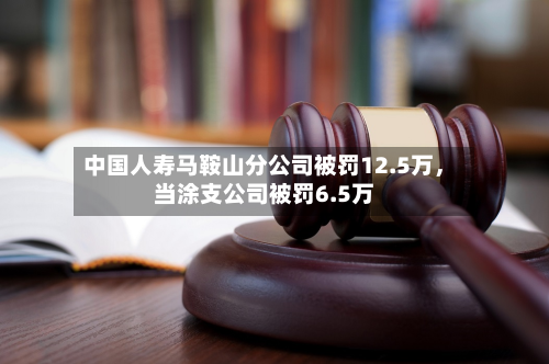 中国人寿马鞍山分公司被罚12.5万，当涂支公司被罚6.5万-第2张图片