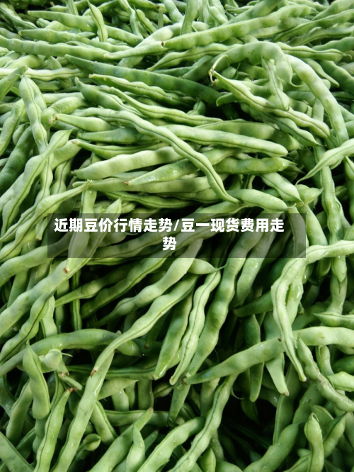 近期豆价行情走势/豆一现货费用走势-第2张图片