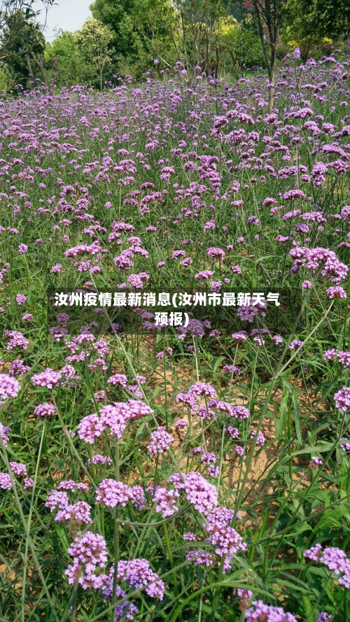 汝州疫情最新消息(汝州市最新天气预报)