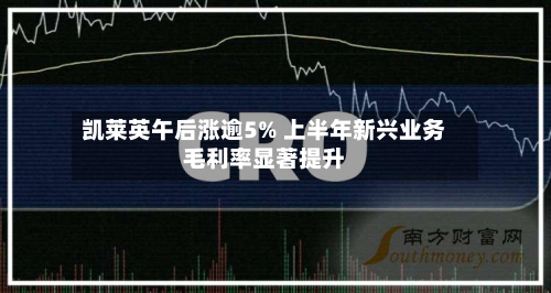 凯莱英午后涨逾5% 上半年新兴业务毛利率显著提升-第3张图片