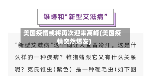 美国疫情或将再次迎来高峰(美国疫情突然爆发)-第3张图片