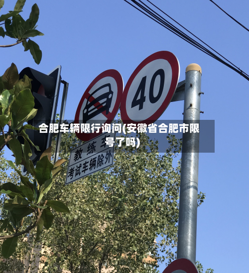 合肥车辆限行询问(安徽省合肥市限号了吗)