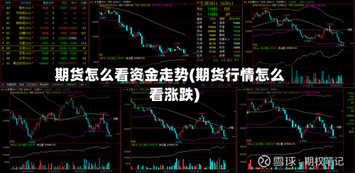 期货怎么看资金走势(期货行情怎么看涨跌)-第2张图片
