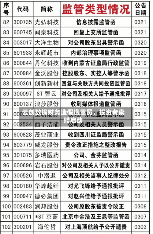 云创数据财务造假遭重罚	，投资者索赔启动-第3张图片