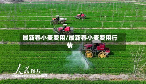 最新春小麦费用/最新春小麦费用行情