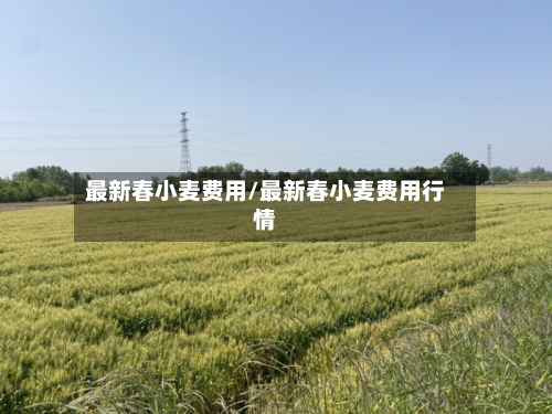 最新春小麦费用/最新春小麦费用行情-第2张图片