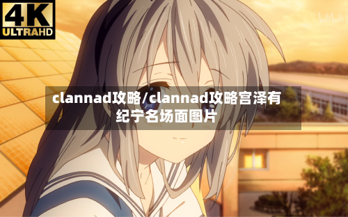 clannad攻略/clannad攻略宫泽有纪宁名场面图片-第2张图片