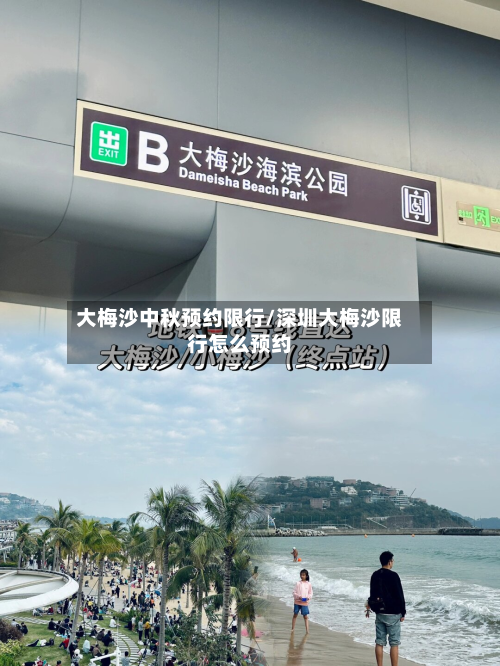 大梅沙中秋预约限行/深圳大梅沙限行怎么预约-第3张图片