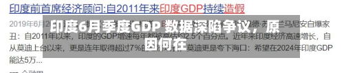 印度6月季度GDP 数据深陷争议	，原因何在-第3张图片