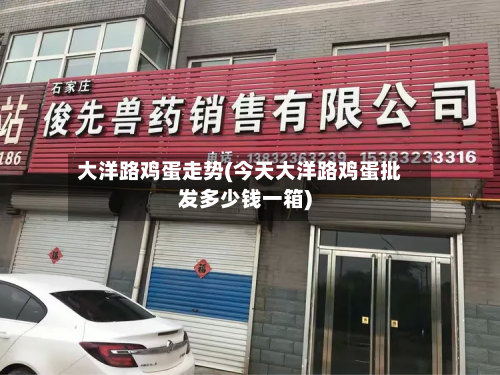 大洋路鸡蛋走势(今天大洋路鸡蛋批发多少钱一箱)