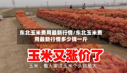 东北玉米费用最新行情/东北玉米费用最新行情多少钱一斤-第2张图片