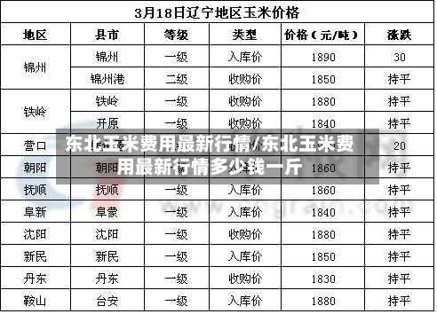 东北玉米费用最新行情/东北玉米费用最新行情多少钱一斤-第3张图片