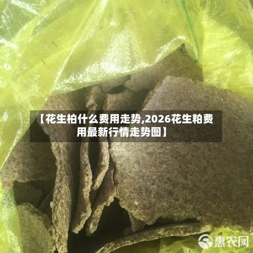 【花生柏什么费用走势,2026花生粕费用最新行情走势图】