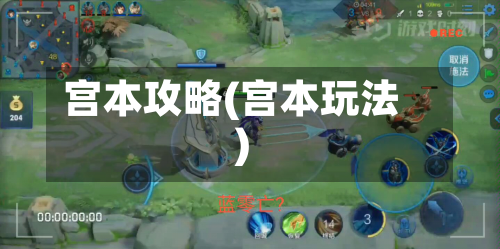 宫本攻略(宫本玩法)