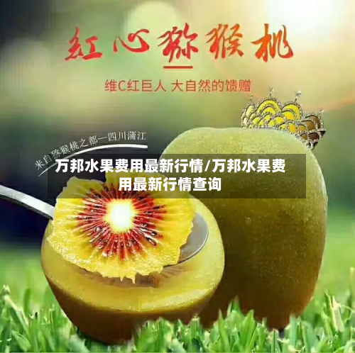万邦水果费用最新行情/万邦水果费用最新行情查询