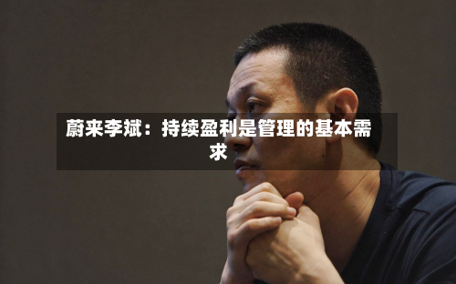 蔚来李斌：持续盈利是管理的基本需求-第2张图片