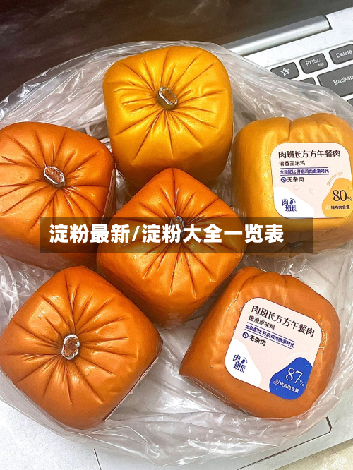 淀粉最新/淀粉大全一览表
