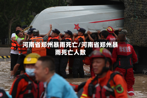 河南省郑州暴雨死亡/河南省郑州暴雨死亡人数-第2张图片