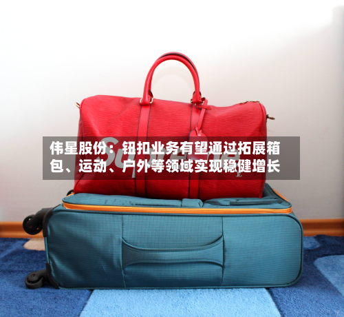 伟星股份：钮扣业务有望通过拓展箱包、运动	、户外等领域实现稳健增长-第3张图片