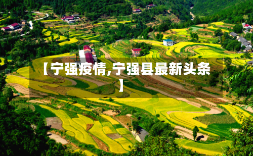 【宁强疫情,宁强县最新头条】-第3张图片