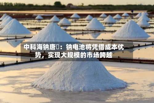 中科海钠唐堃：钠电池将凭借成本优势，实现大规模的市场跨越