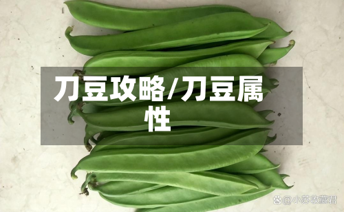 刀豆攻略/刀豆属性