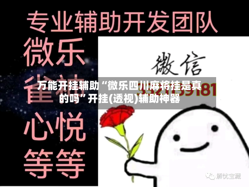 万能开挂辅助“微乐四川麻将挂是真的吗”开挂(透视)辅助神器-第3张图片