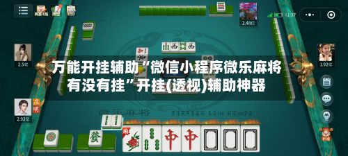 万能开挂辅助“微信小程序微乐麻将有没有挂	”开挂(透视)辅助神器-第2张图片