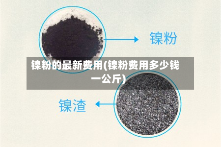 镍粉的最新费用(镍粉费用多少钱一公斤)-第3张图片