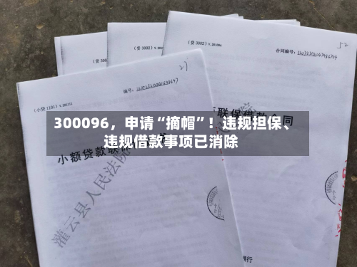 300096，申请“摘帽	”！违规担保、违规借款事项已消除-第3张图片