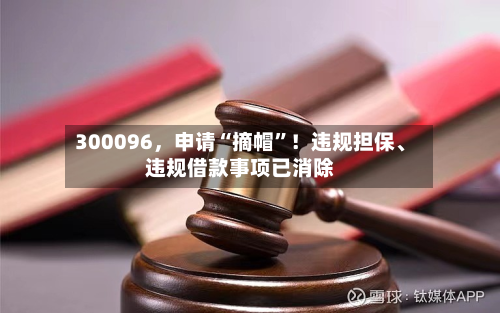 300096	，申请“摘帽”！违规担保、违规借款事项已消除-第2张图片