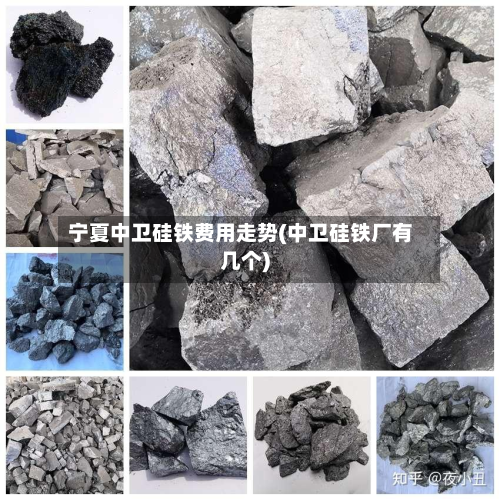 宁夏中卫硅铁费用走势(中卫硅铁厂有几个)-第2张图片