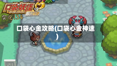 口袋心金攻略(口袋心金神速)