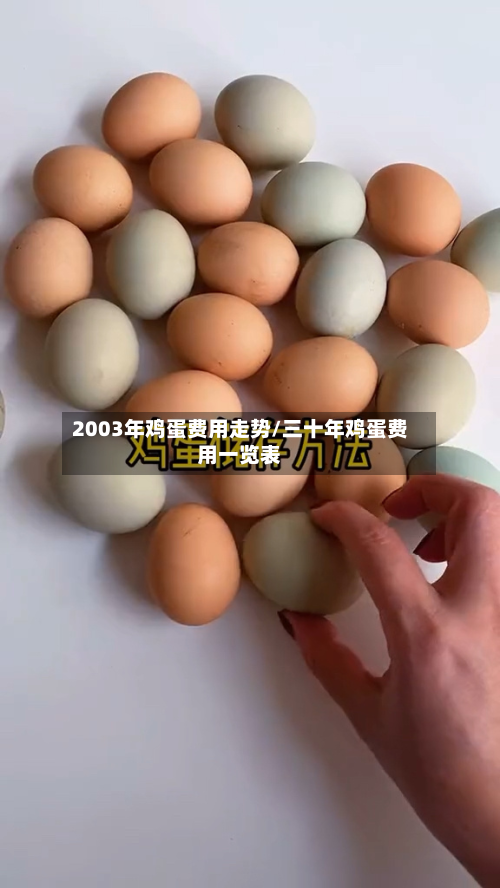 2003年鸡蛋费用走势/三十年鸡蛋费用一览表-第3张图片
