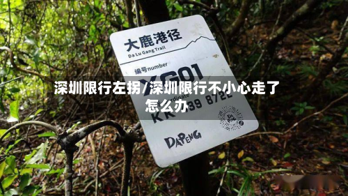 深圳限行左拐/深圳限行不小心走了怎么办-第2张图片