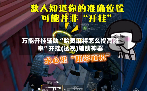 万能开挂辅助“哈灵麻将怎么提高胜率”开挂(透视)辅助神器-第3张图片