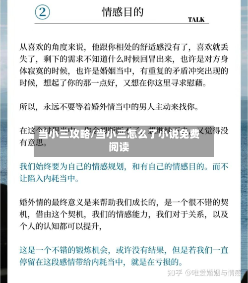 当小三攻略/当小三怎么了小说免费阅读