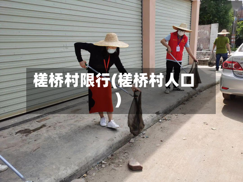 槎桥村限行(槎桥村人口)-第2张图片